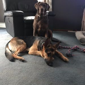 Meet your Posher, Sara